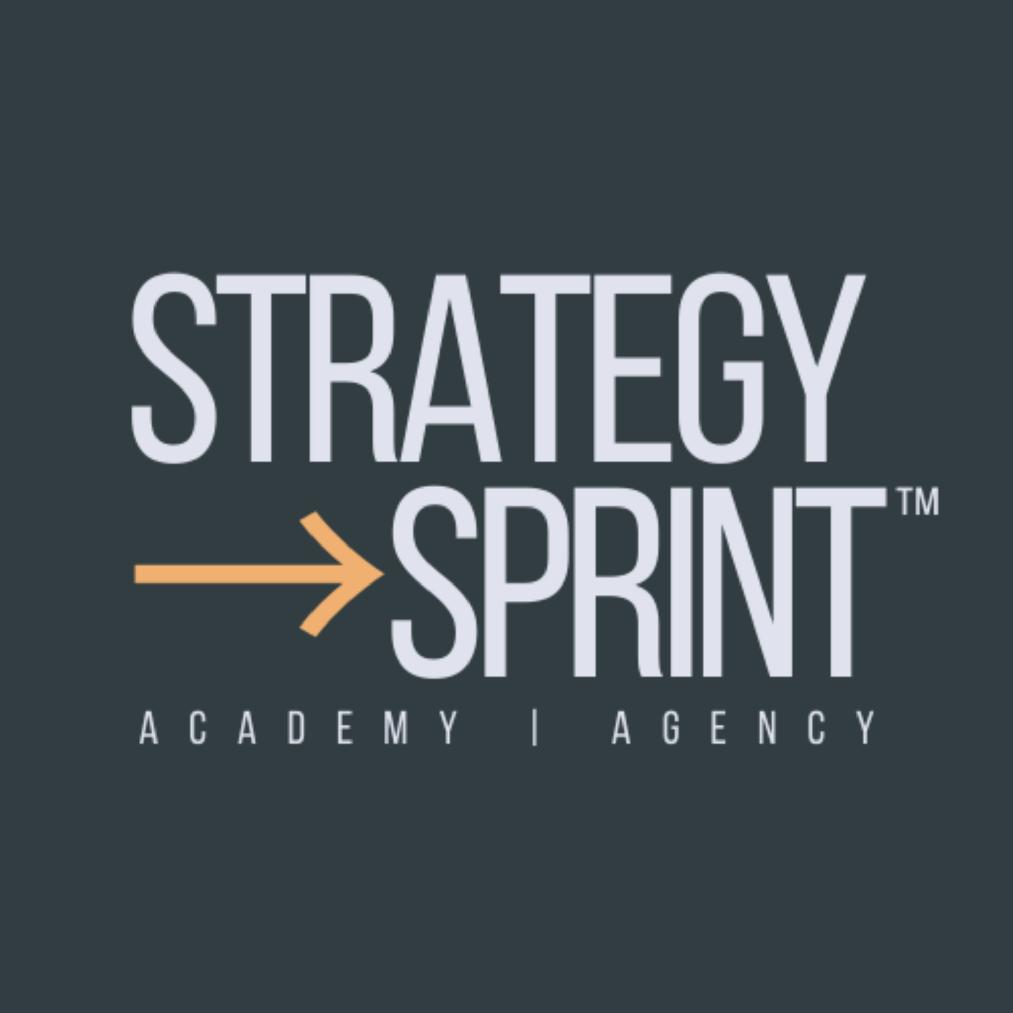Strategy Sprint Company
